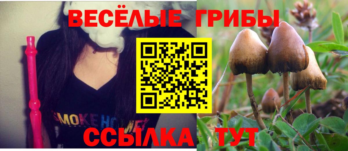 Магадан  Псилоцибиновые грибы Cubensis  Вход с VPN 